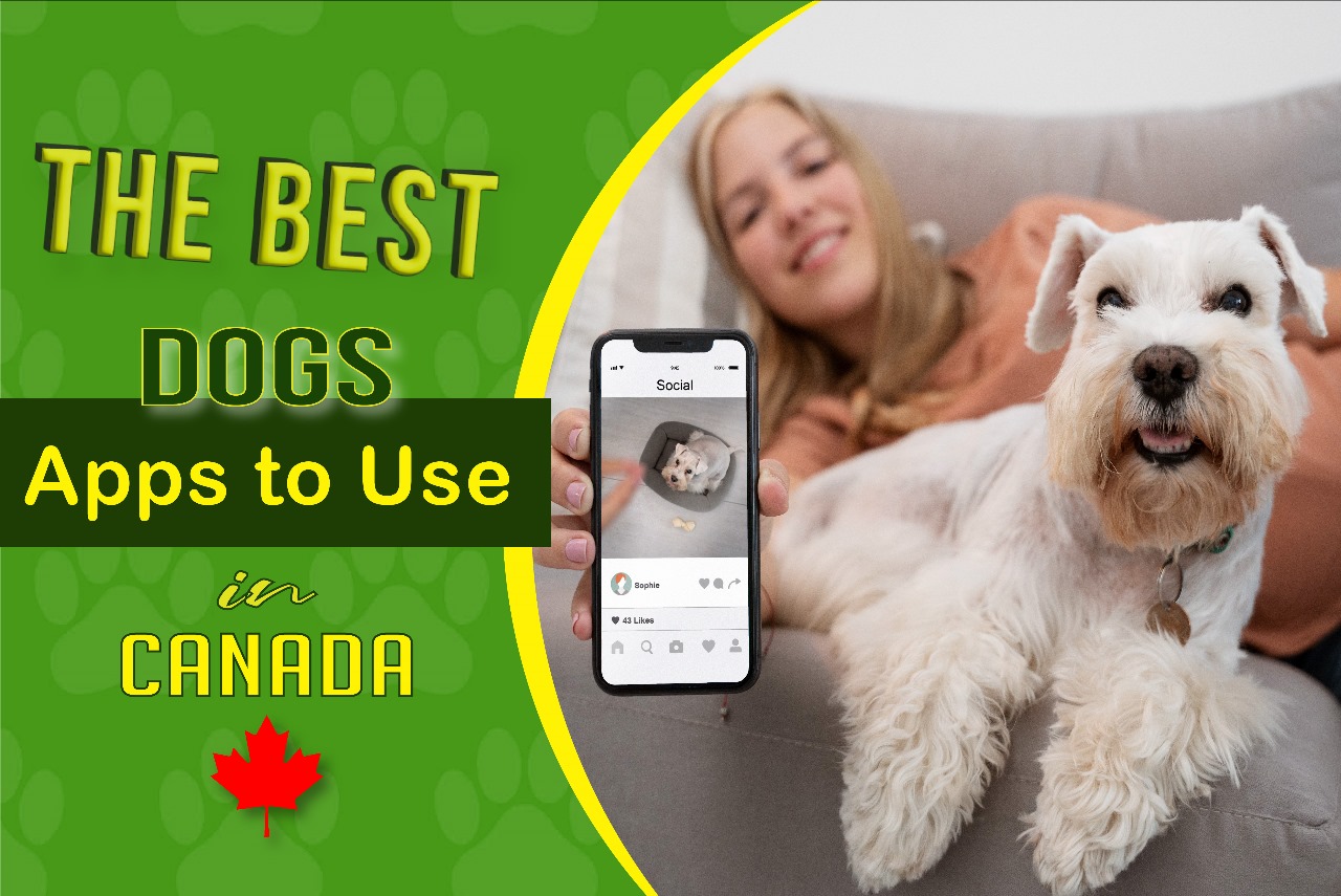 The best Dog Apps to Use in Canada
